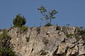 Panorama from the area of Ã¢â¬â¹Ã¢â¬â¹Rusenski Lom Nature Park with high vertical limestone cliffs